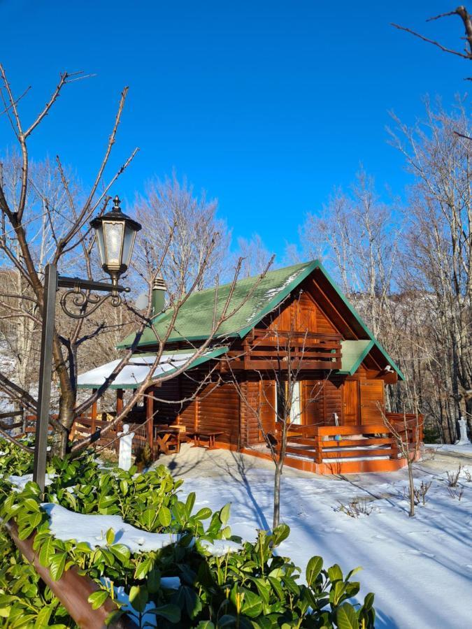 Вилла Vikendica Crkvina Колашин Экстерьер фото