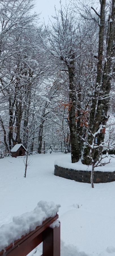 Вилла Vikendica Crkvina Колашин Экстерьер фото