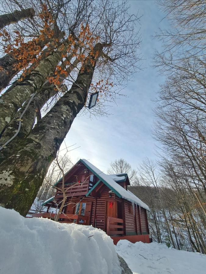 Вилла Vikendica Crkvina Колашин Экстерьер фото